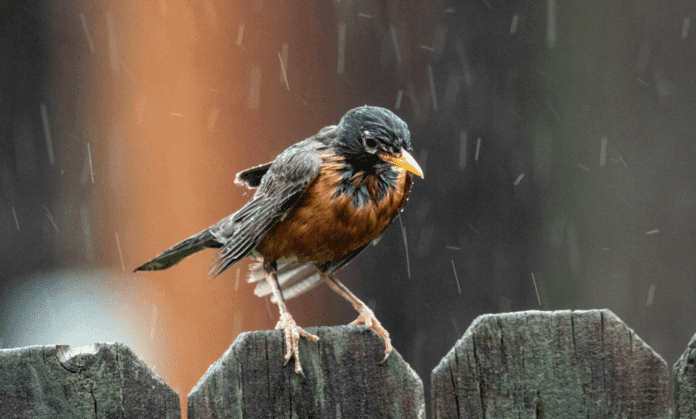 Riding on a rainy day