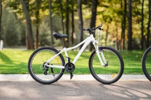 electric and ordinary bicycles