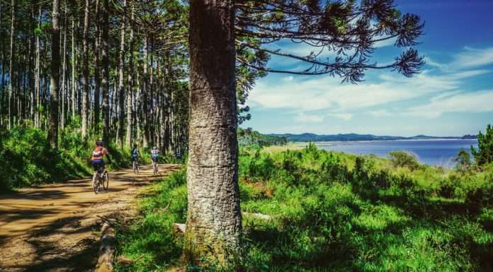 NEGATIVE EFFECTS OF CYCLING!!