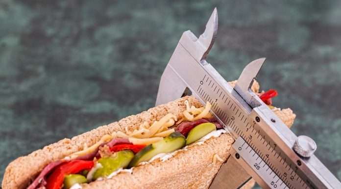 How Many Calories Does Cycling Really Burn?