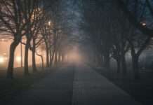 Cycling is equivalent to meditation Cycling on Heavy Traffic Roads