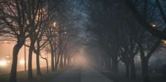 Cycling is equivalent to meditation Cycling on Heavy Traffic Roads