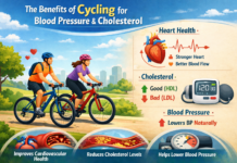 What Regular Cycling Does to Your Blood Pressure and Cholesterol Blood Pressure and Cholesterol